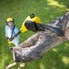  Walce, LA Tree Removal and Landscaping Services Pros